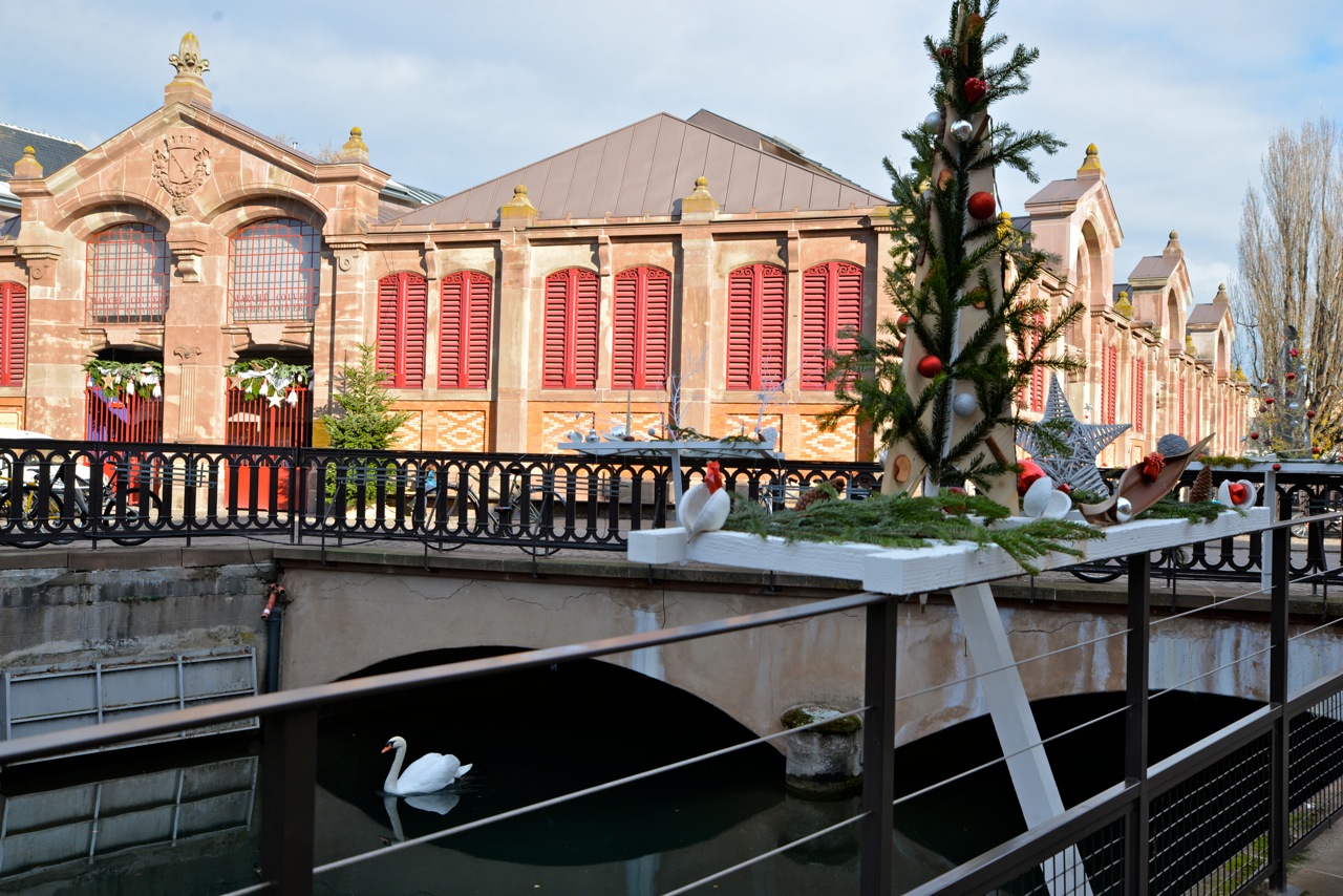 Colmar